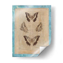 Bienda De Librarios Buttuales Ii - Vision Studio | Cuadro decorativo de Canvas Lab