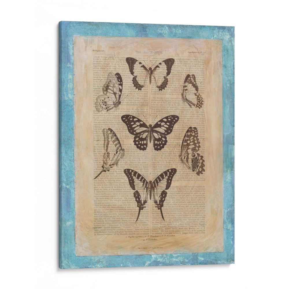 Butterly Butterflies Iii - Vision Studio | Cuadro decorativo de Canvas Lab