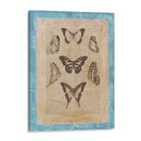 Butterly Butterflies Iii - Vision Studio | Cuadro decorativo de Canvas Lab