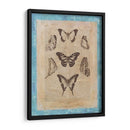 Butterly Butterflies Iii - Vision Studio | Cuadro decorativo de Canvas Lab