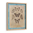 Butterly Butterflies Iii - Vision Studio | Cuadro decorativo de Canvas Lab