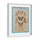 Butterly Butterflies Iii - Vision Studio | Cuadro decorativo de Canvas Lab