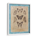 Butterly Butterflies Iii - Vision Studio | Cuadro decorativo de Canvas Lab