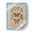 Butterly Butterflies Iii - Vision Studio | Cuadro decorativo de Canvas Lab
