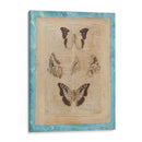 Bienda De Librion Butardas Iv - Vision Studio | Cuadro decorativo de Canvas Lab