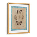 Bienda De Librion Butardas Iv - Vision Studio | Cuadro decorativo de Canvas Lab