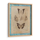 Bienda De Librion Butardas Iv - Vision Studio | Cuadro decorativo de Canvas Lab