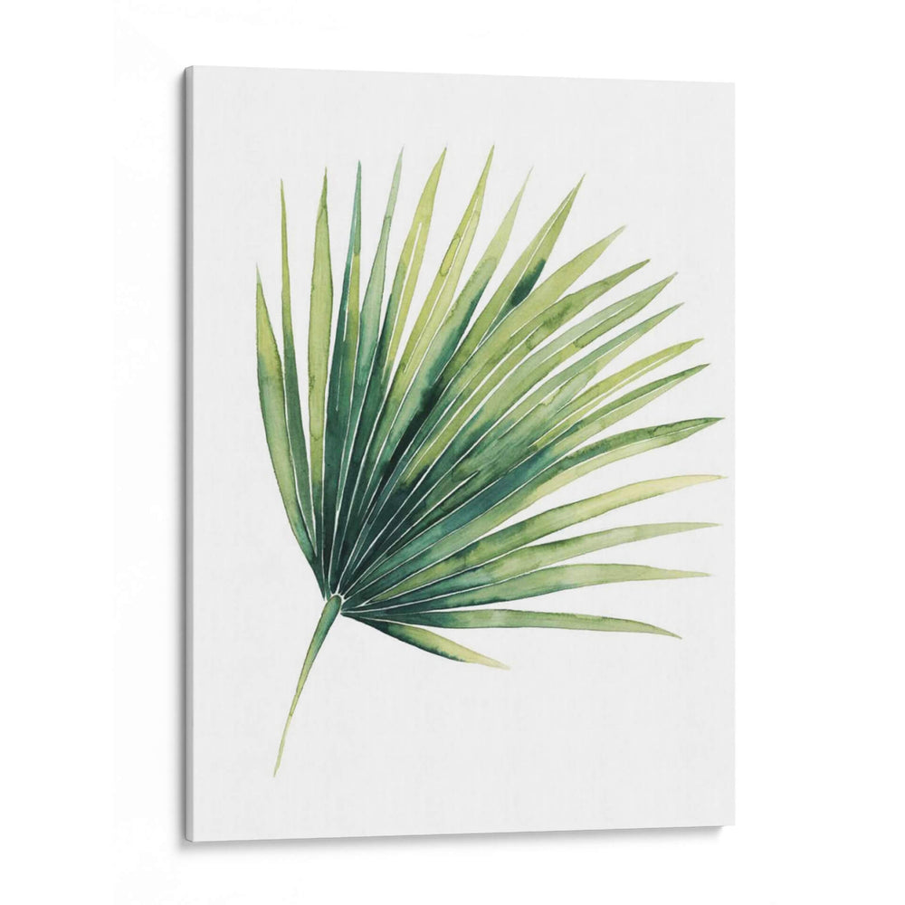Hojas De Palma De Paradisíes Personalizados En Blanco Ii - Grace Popp | Cuadro decorativo de Canvas Lab