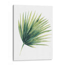 Hojas De Palma De Paradisíes Personalizados En Blanco Ii - Grace Popp | Cuadro decorativo de Canvas Lab