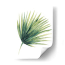 Hojas De Palma De Paradisíes Personalizados En Blanco Ii - Grace Popp | Cuadro decorativo de Canvas Lab