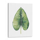 Hojas De Palma Personalizada Del Paraíso En Blanco Iii - Grace Popp | Cuadro decorativo de Canvas Lab