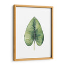 Hojas De Palma Personalizada Del Paraíso En Blanco Iii - Grace Popp | Cuadro decorativo de Canvas Lab