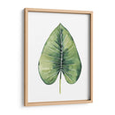 Hojas De Palma Personalizada Del Paraíso En Blanco Iii - Grace Popp | Cuadro decorativo de Canvas Lab
