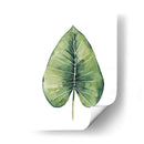 Hojas De Palma Personalizada Del Paraíso En Blanco Iii - Grace Popp | Cuadro decorativo de Canvas Lab