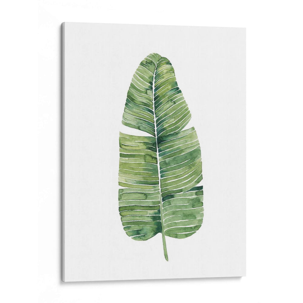 Hojas De Palma De Paradisíes Personalizados En Blanco Iv - Grace Popp | Cuadro decorativo de Canvas Lab