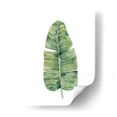 Hojas De Palma De Paradisíes Personalizados En Blanco Iv - Grace Popp | Cuadro decorativo de Canvas Lab