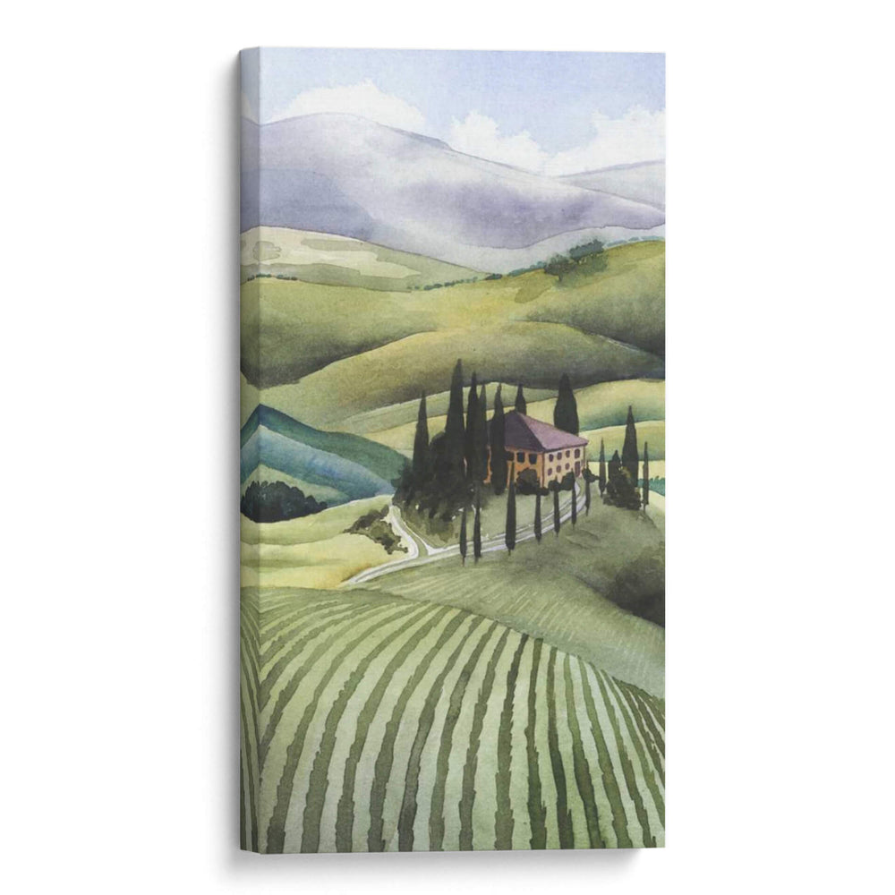 Colección De Aceite De Oliva Mediterráneo B - Grace Popp | Cuadro decorativo de Canvas Lab
