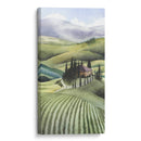 Colección De Aceite De Oliva Mediterráneo B - Grace Popp | Cuadro decorativo de Canvas Lab
