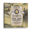 Colección De Aceite De Oliva Mediterráneo E - Grace Popp | Cuadro decorativo de Canvas Lab
