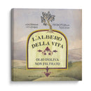 Colección De Aceite De Oliva Mediterráneo H - Grace Popp | Cuadro decorativo de Canvas Lab