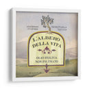 Colección De Aceite De Oliva Mediterráneo H - Grace Popp | Cuadro decorativo de Canvas Lab
