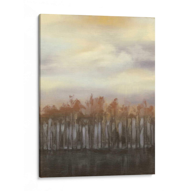 Atardecer En Invierno - Jennifer Goldberger | Cuadro decorativo de Canvas Lab