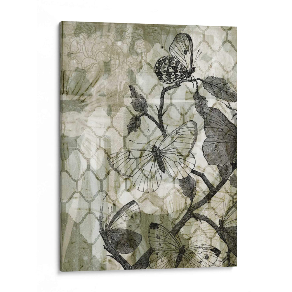 Mariposas Arabescos Ii - Jennifer Goldberger | Cuadro decorativo de Canvas Lab
