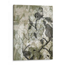 Mariposas Arabescos Ii - Jennifer Goldberger | Cuadro decorativo de Canvas Lab