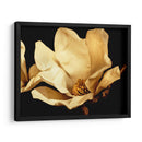 Buttercream Magnolia I - Rachel Perry | Cuadro decorativo de Canvas Lab