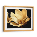 Buttercream Magnolia I - Rachel Perry | Cuadro decorativo de Canvas Lab