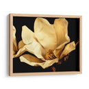 Buttercream Magnolia I - Rachel Perry | Cuadro decorativo de Canvas Lab