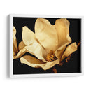 Buttercream Magnolia I - Rachel Perry | Cuadro decorativo de Canvas Lab