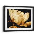Magnolia Ii De Buttercream Ii - Rachel Perry | Cuadro decorativo de Canvas Lab