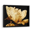 Magnolia Ii De Buttercream Ii - Rachel Perry | Cuadro decorativo de Canvas Lab