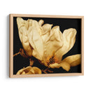 Magnolia Ii De Buttercream Ii - Rachel Perry | Cuadro decorativo de Canvas Lab