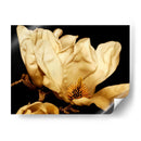 Magnolia Ii De Buttercream Ii - Rachel Perry | Cuadro decorativo de Canvas Lab