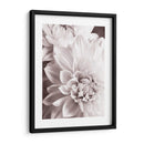 Bandw Dahlias Ii - Christine Zalewski | Cuadro decorativo de Canvas Lab