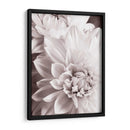 Bandw Dahlias Ii - Christine Zalewski | Cuadro decorativo de Canvas Lab