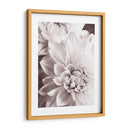 Bandw Dahlias Ii - Christine Zalewski | Cuadro decorativo de Canvas Lab