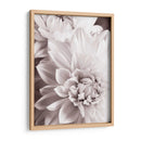 Bandw Dahlias Ii - Christine Zalewski | Cuadro decorativo de Canvas Lab