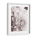 Bandw Dahlias Ii - Christine Zalewski | Cuadro decorativo de Canvas Lab
