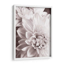 Bandw Dahlias Ii - Christine Zalewski | Cuadro decorativo de Canvas Lab