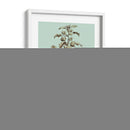 Imperial Munding I - Abraham Munting | Cuadro decorativo de Canvas Lab