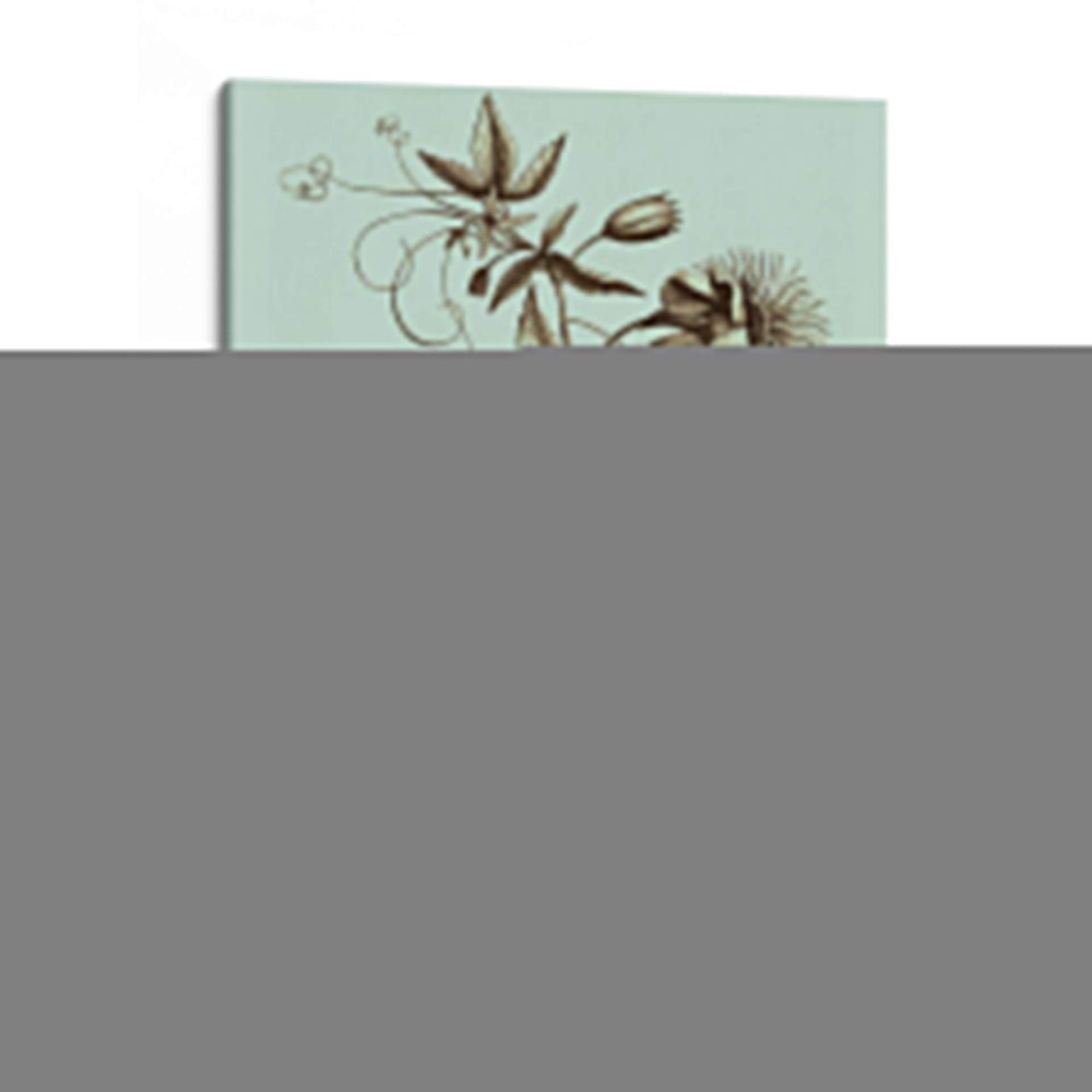 Imperial Munding Iii - Abraham Munting | Cuadro decorativo de Canvas Lab
