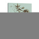 Imperial Munding Iii - Abraham Munting | Cuadro decorativo de Canvas Lab