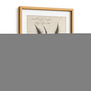 Thornton Succulents Iii - Robert J. Thornton | Cuadro decorativo de Canvas Lab