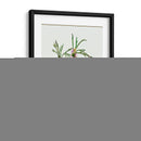 Leonurus Japonicus I - Melissa Wang | Cuadro decorativo de Canvas Lab