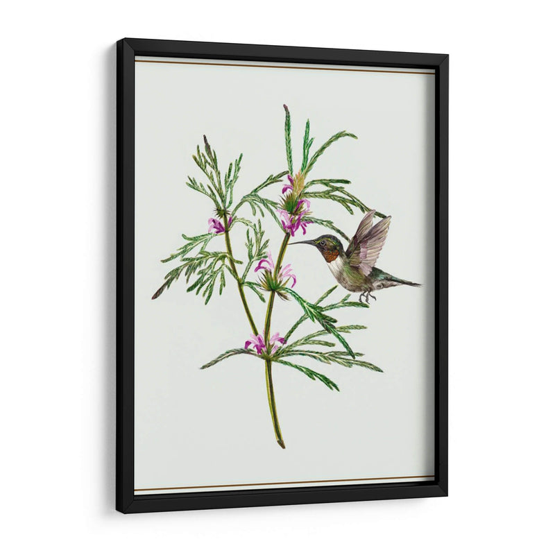 Leonurus Japonicus I - Melissa Wang | Cuadro decorativo de Canvas Lab