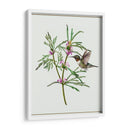 Leonurus Japonicus I - Melissa Wang | Cuadro decorativo de Canvas Lab