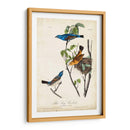 Canción Azul Grosbeak - John James Audubon | Cuadro decorativo de Canvas Lab